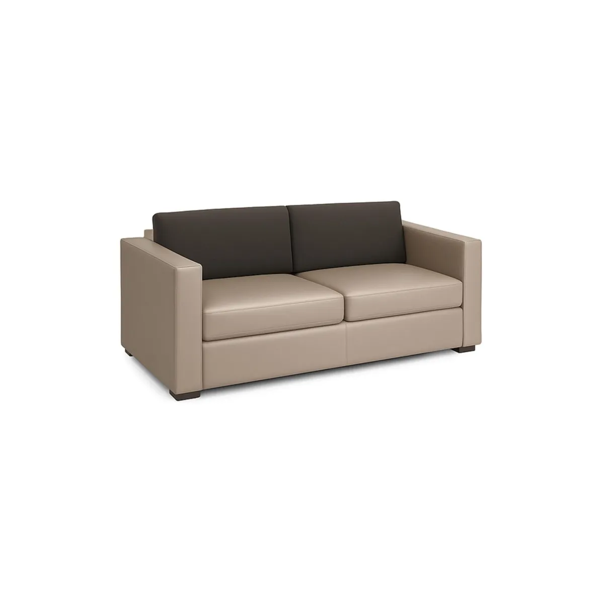 Millard Sofa Bed